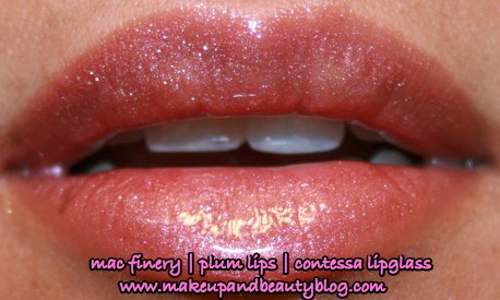 mac-finery-plum-lips-holiday-2007-contessa