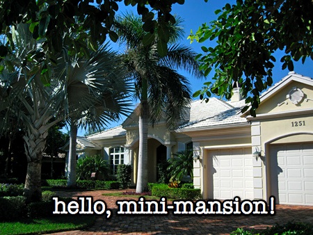 mini mansion