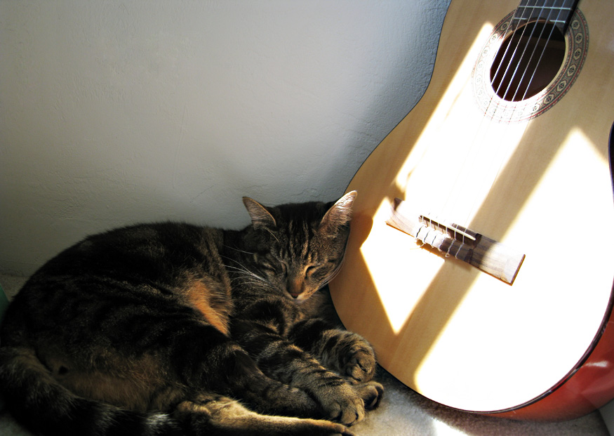 Daily Beauty -Pocket Full of Sunshine