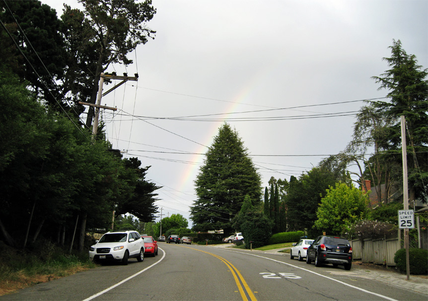 Daily Beauty -The Rainbow Connection