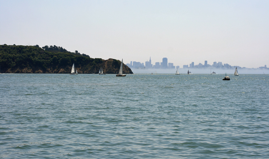 Daily Photo -Welcome to Summer in Ess Eff