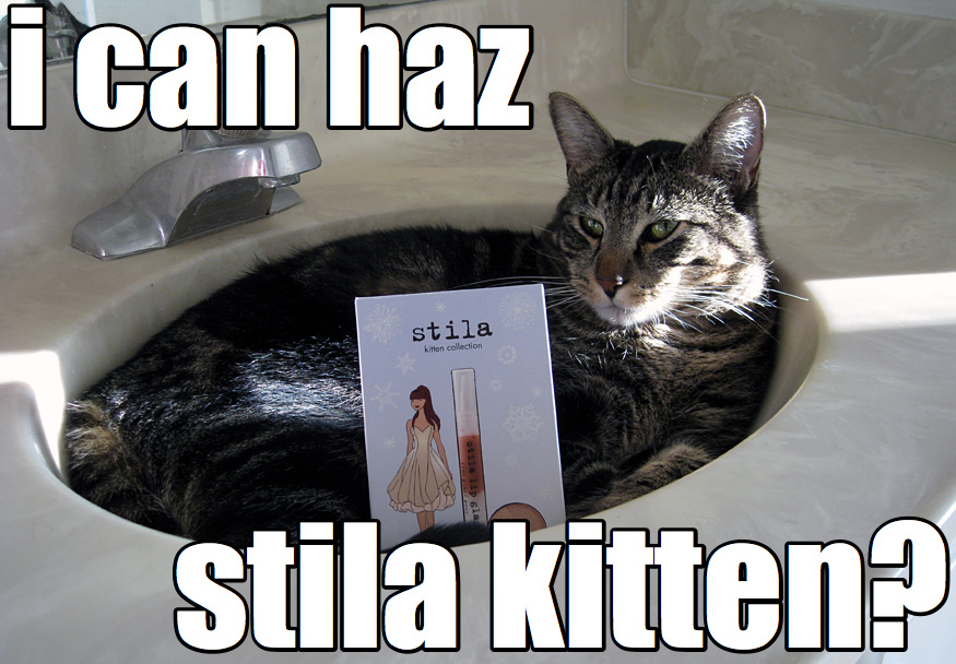 Daily Photo -The Stila Kittens