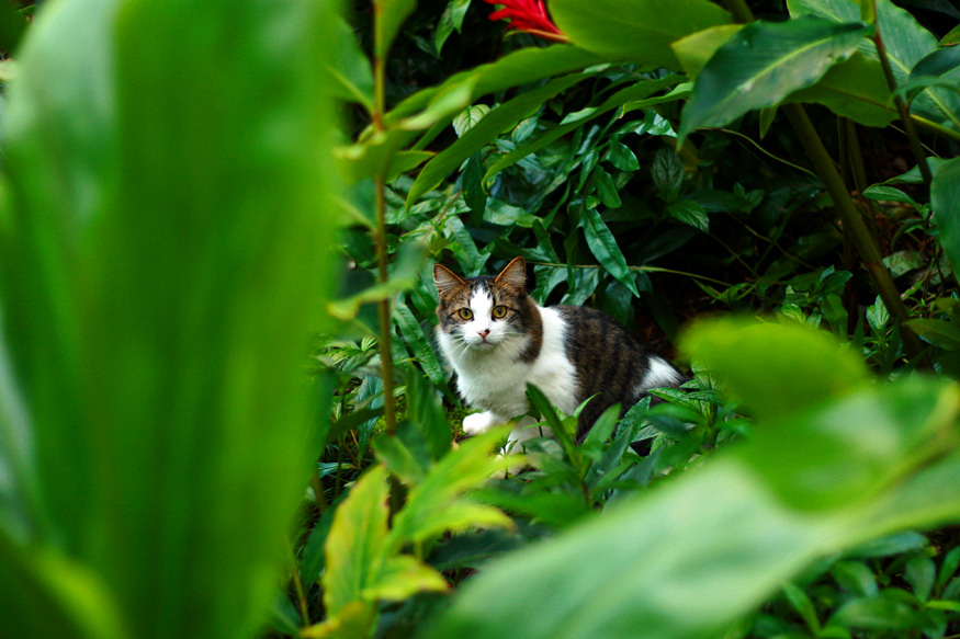 Daily Photo -Cutie Pie, I’ve Missed You!