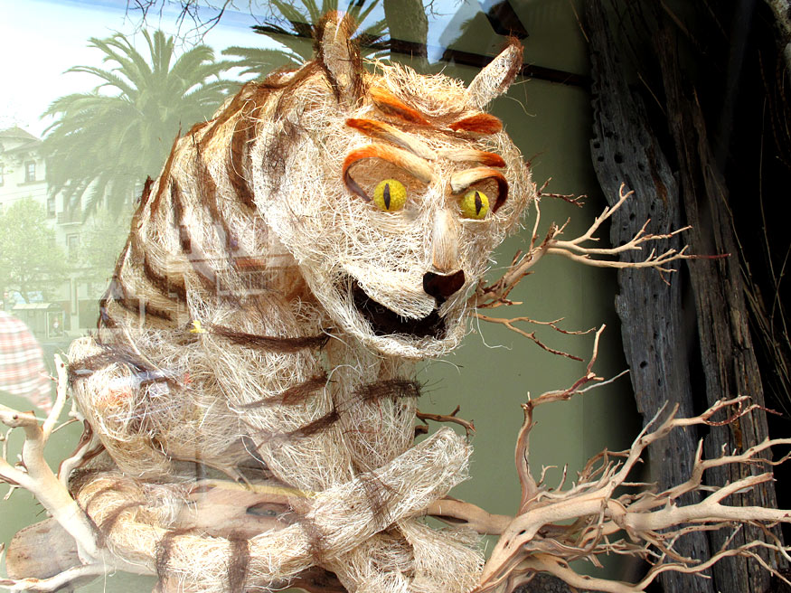 Daily Photo -Tiger, Tiger Burning Bright