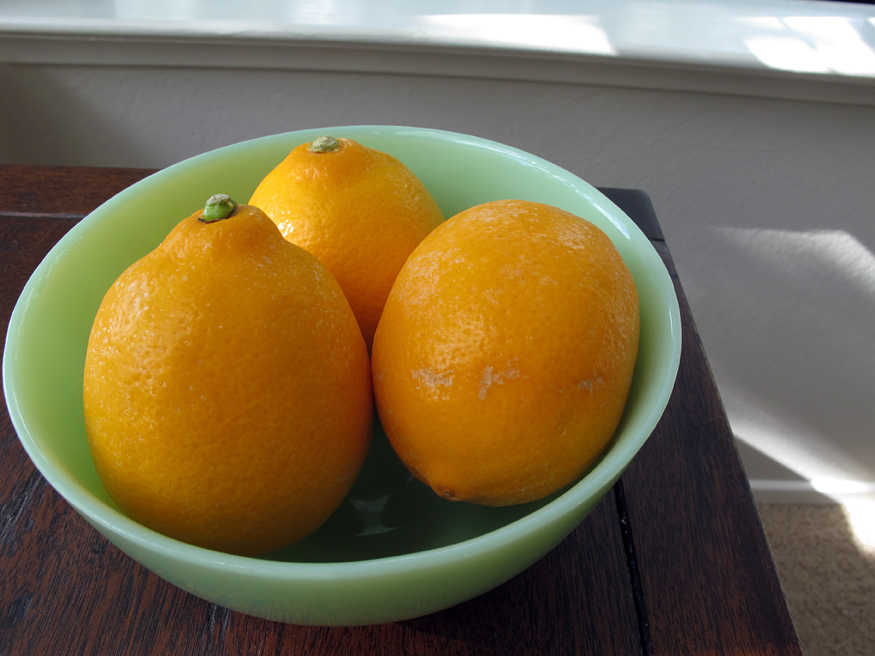 Daily Photo -Meyer Lemon Nail Polish