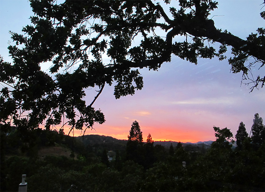 Daily Photo -Summer Sunset