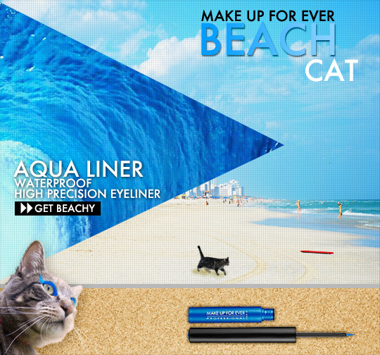 Tabs for Make Up For Ever Aqua Liner in Beach Cat