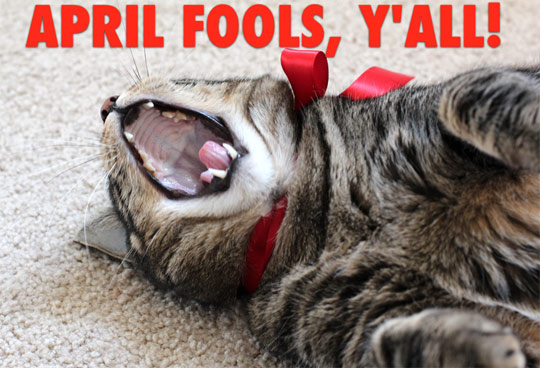 April Fools!
