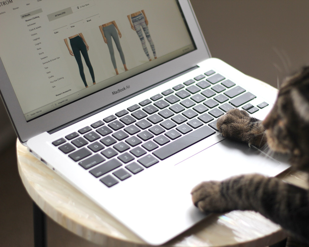 tabs cat laptop browsing