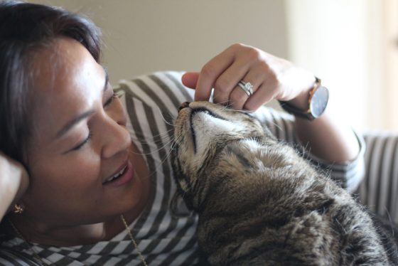 Sundays With Tabs the Cat, Makeup and Beauty Blog Mascot, Vol. 449