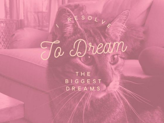 Sundays With Tabs the Cat, Makeup and Beauty Blog Mascot, Vol. 482