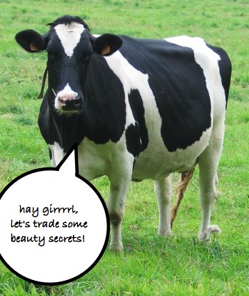 cow-beauty-secrets-final