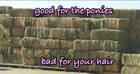 straw-good-for-ponies-bad-for-hair