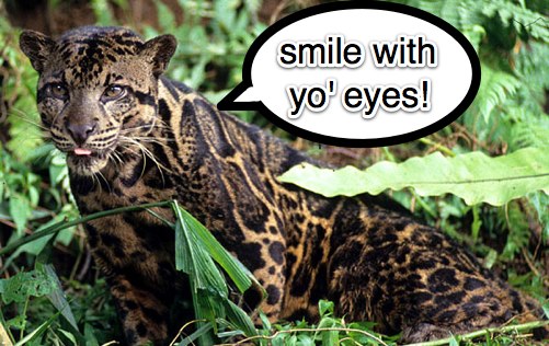 leopard-smile-with-your-eyes