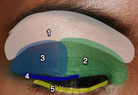 mac-cosmetics-parrot-fotd-sprout-eye-map