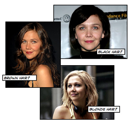Maggie Gyllenhaal Hairstyle Celebrity Poll - Makeup and Beauty Blog