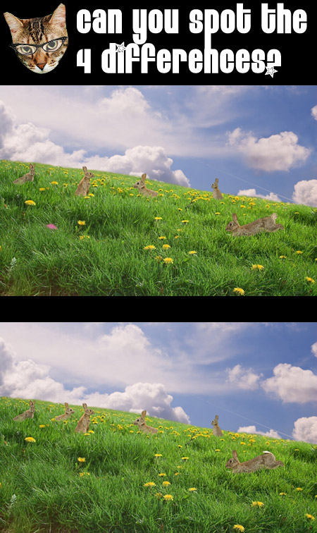 Can you spot the 4 differences between these two pictures?