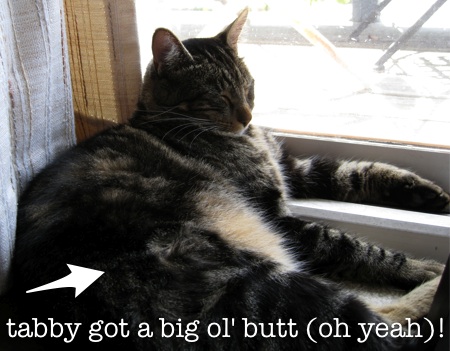 tabs-big-ol-butt