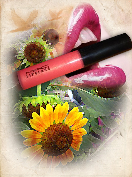Highly pigmented lip glosses