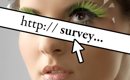 Makeup and Beauty Blog 2009 Marketing Survey