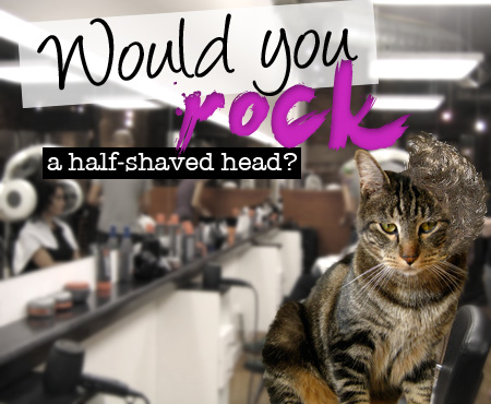 Would you rock a half-shaved head?