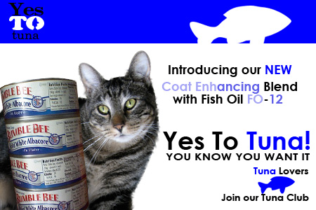 Tabs for Yes To Tuna