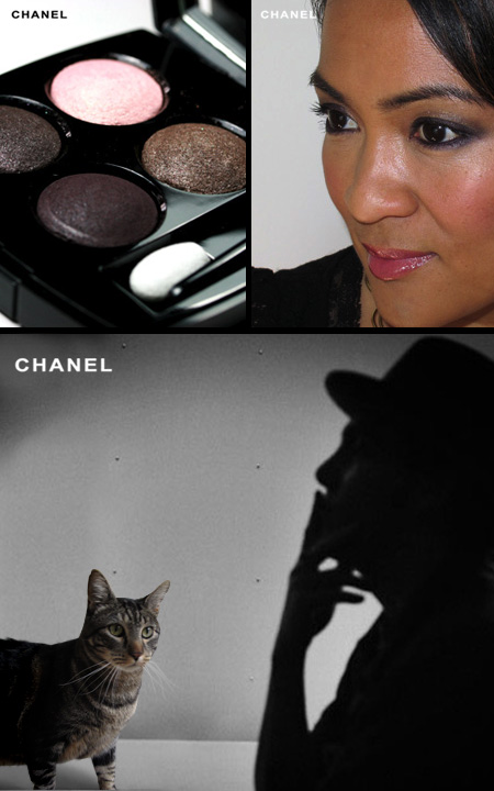 Tabs for the Chanel Enigma Eyeshadow Quad