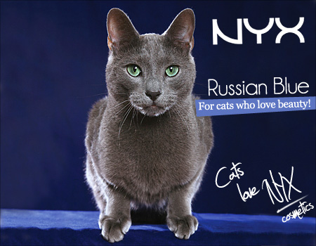 Tabs for NYX Russian Blue