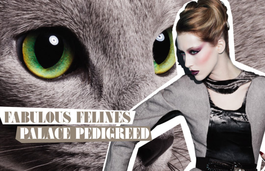 MAC Fabulous Felines Swatches Palace Pedigreed