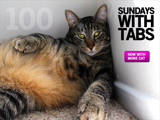 Sundays with Tabs the Cat: Makeup and Beauty Blog Mascot