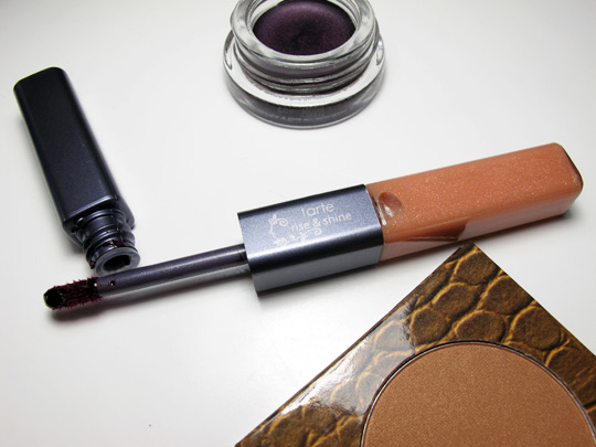tarte beauty in a box bronze smoky eye swatches review rise shine