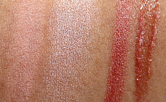 dior holiday 2010 endless shine 529 swatches photos pictures face of the day swatches 2