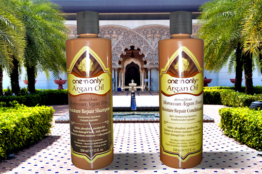 One 'n Only Argan Oil Moisture Repair Shampoo and Conditioner