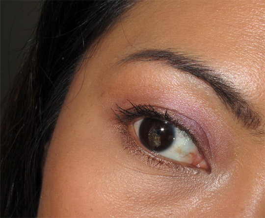 karen of makeup and beauty blog reviews almay intense i-color review browns 001 eye closeup