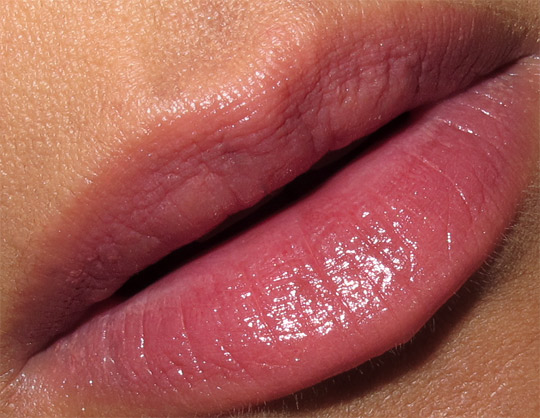 karen of makeup and beauty blog reviews chantecaille lip chic in tea rose lip closeup