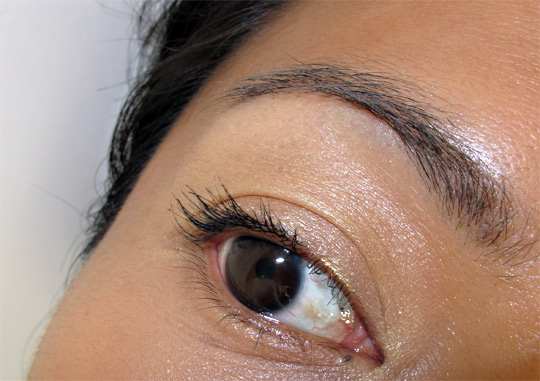 karen of makeup and beauty blog reviews urban decay greed eyeshadow primer potion eye closeup