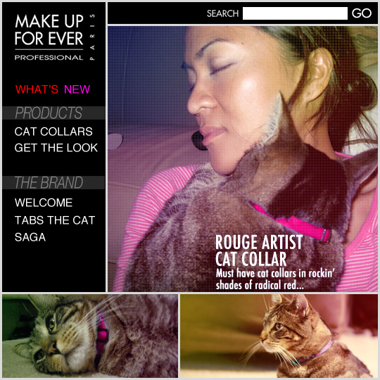 Tabs for the Make Up For Ever Rouge Artist Cat Collar
