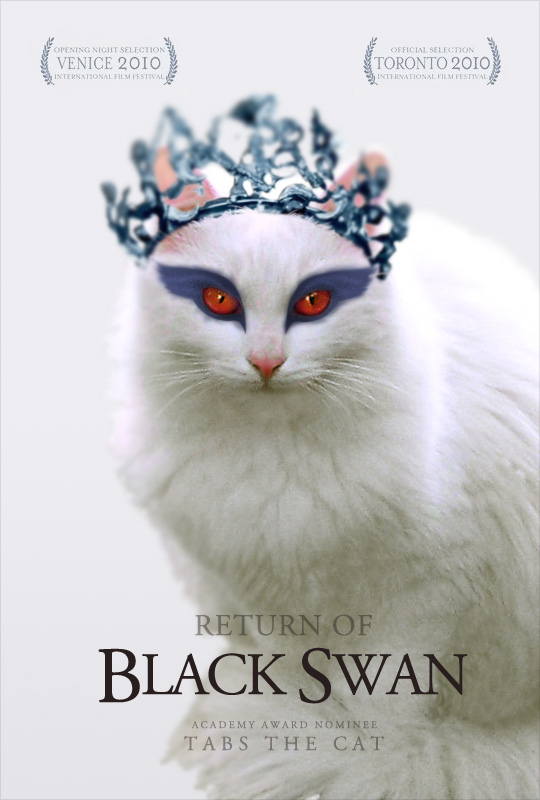 Tabs for the Return of Black Swan
