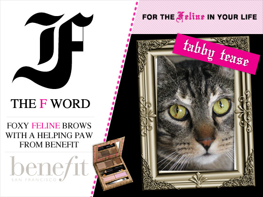 Tabs for the Benefit Feline Brow Kit