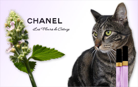 Tabs for Chanel Fleurs de Catnip Glossimer
