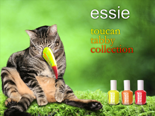 Tabs for the Essie Toucan Tabby Collection