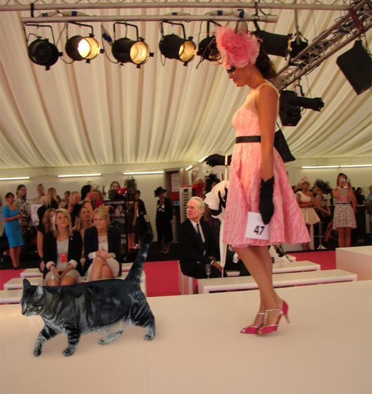 Tabs on his first catwalk
