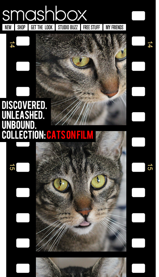 Tabs for the Smashbox Cats on Film Collection