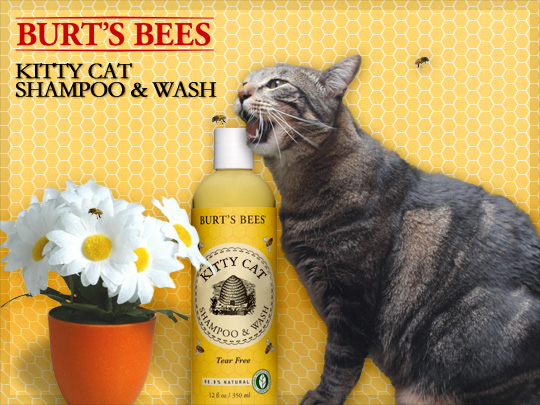 Tabs for Burts Bees Kitty Cat Shampoo