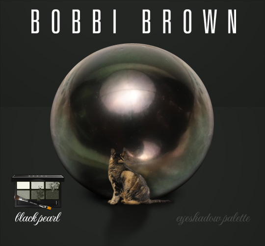 Tabs for the Bobbi Brown Black Pearl Eyeshadow Palette