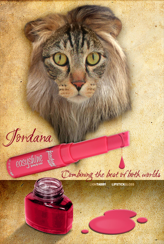 Tabs for Jordana Easyshine Glossy Lip Color