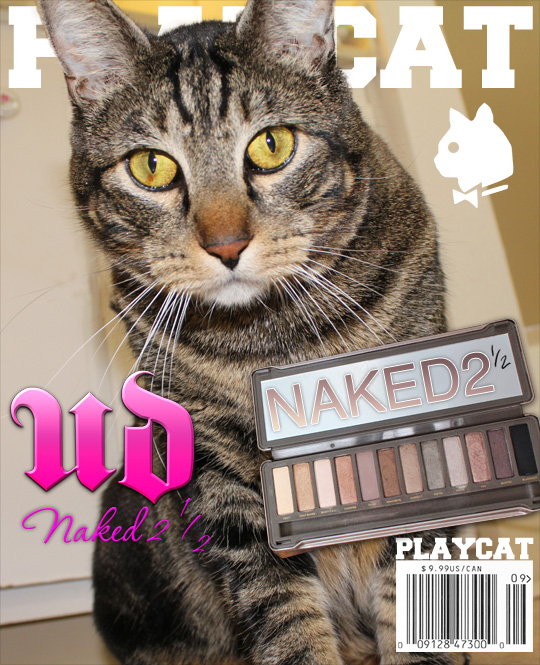 Tabs for the Urban Decay Naked 2.5 Palette