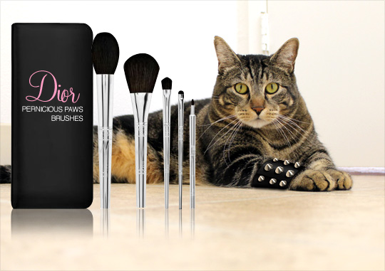 Tabs for the Dior Pernicious Paws Makeup Brushes