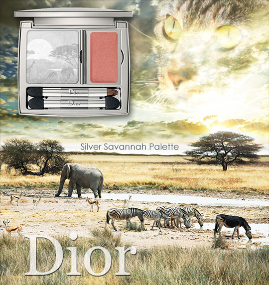 Tabs for the Dior Silver Savannah Palette