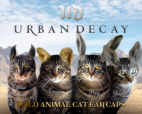 Tabs for Urban Decay Wild Animal Cat Ear Caps